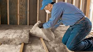 Best Insulation for New Construction  in Olivet, MI